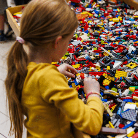 Dino-event-3-1-1 Dino Event, Velocirapor, Meet & Greet met Velociraptor, Bouwen met Lego,