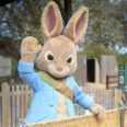 Peter Rabbit, Peter Rabbit inhuren, meet en greet, meet en greet Peter Rabbit, Peter Rabbit meet en greet, inhuren Peter Rabbit, Peter Rabbit inhuren, entertainment voor kinderen, entertainment voor winkelcentrum, entertainmentbureau, kinderentertainment, looppop huren, looppop inhuren, looppoppen huren, looppoppen inhuren, promotie winkelcentrum, tv karakter inhuren, inhuren tv karakter, tv held inhuren, tvheld inhuren, tvheld huren, tv held huren,